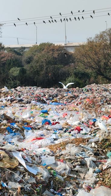 A close-up view of a rubbish accumulation collection on a paved surface outside, featuring a variety of discarded waste including black plastic bin bags, a yellow plastic tray, a worn and stained car 